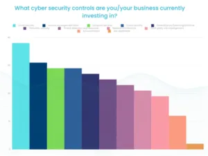 Ransomware threats are a major concern in the dynamic tech world of 2024, particularly in Melbourne, which is technically a tech hub.