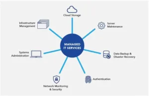 what exactly are Managed Service Providers